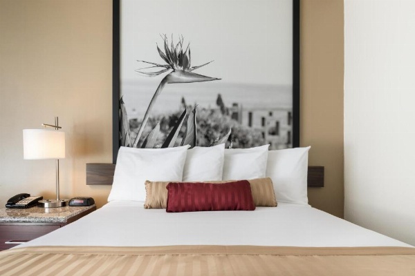 Kings Inn Anaheim at The Park & Convention Center image 12